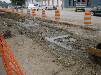 DSCF0111.JPG (31003 bytes)